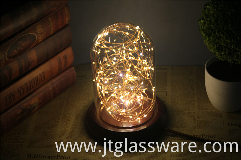 Glass Dome With LED Lights